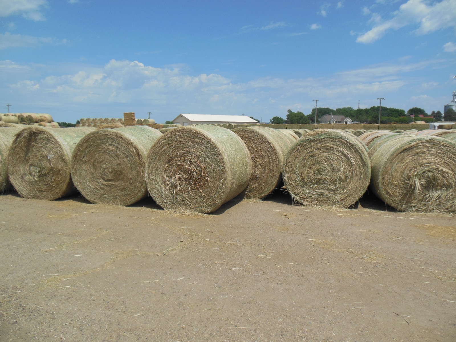 Hay for Sale Private Treaty Rock Valley Hay Auction