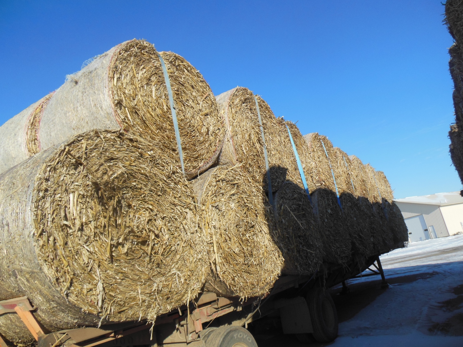 Hay for Sale Private Treaty Rock Valley Hay Auction