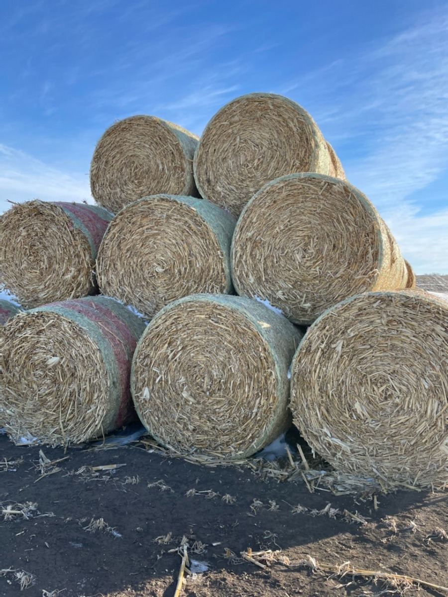 Hay for Sale Private Treaty Rock Valley Hay Auction