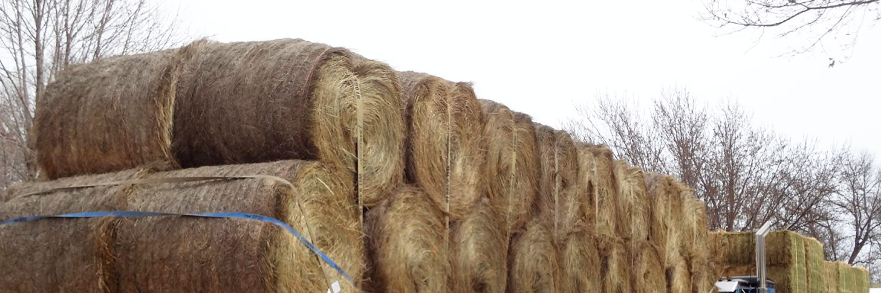 Rock Valley Hay Auction