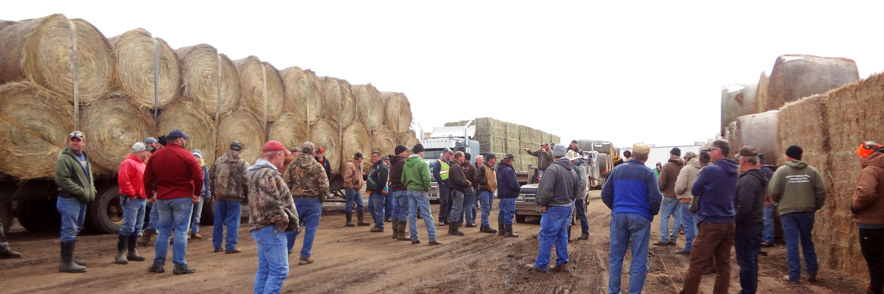 Rock Valley Hay Auction