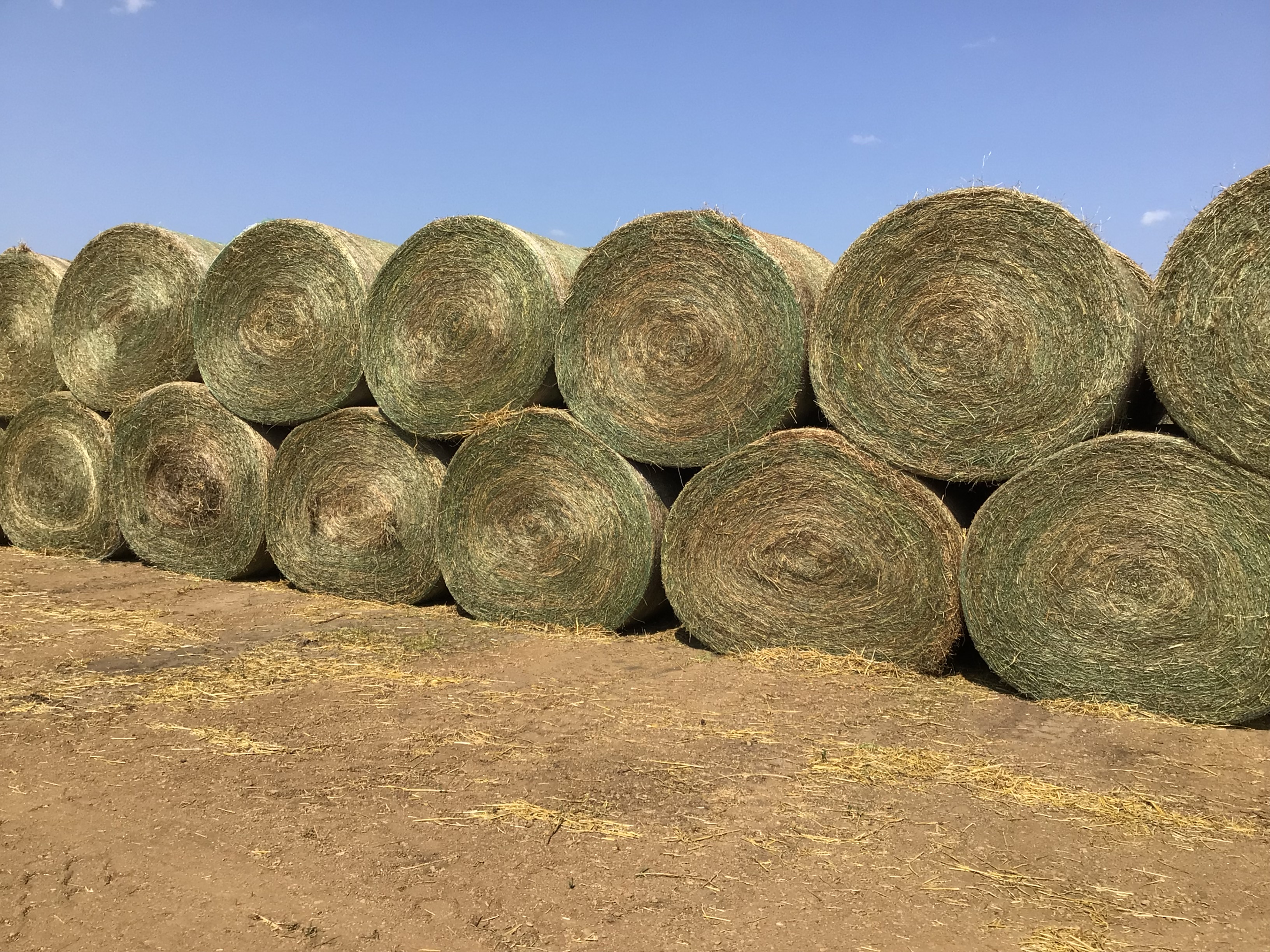 NM54580 Rock Valley Hay Auction