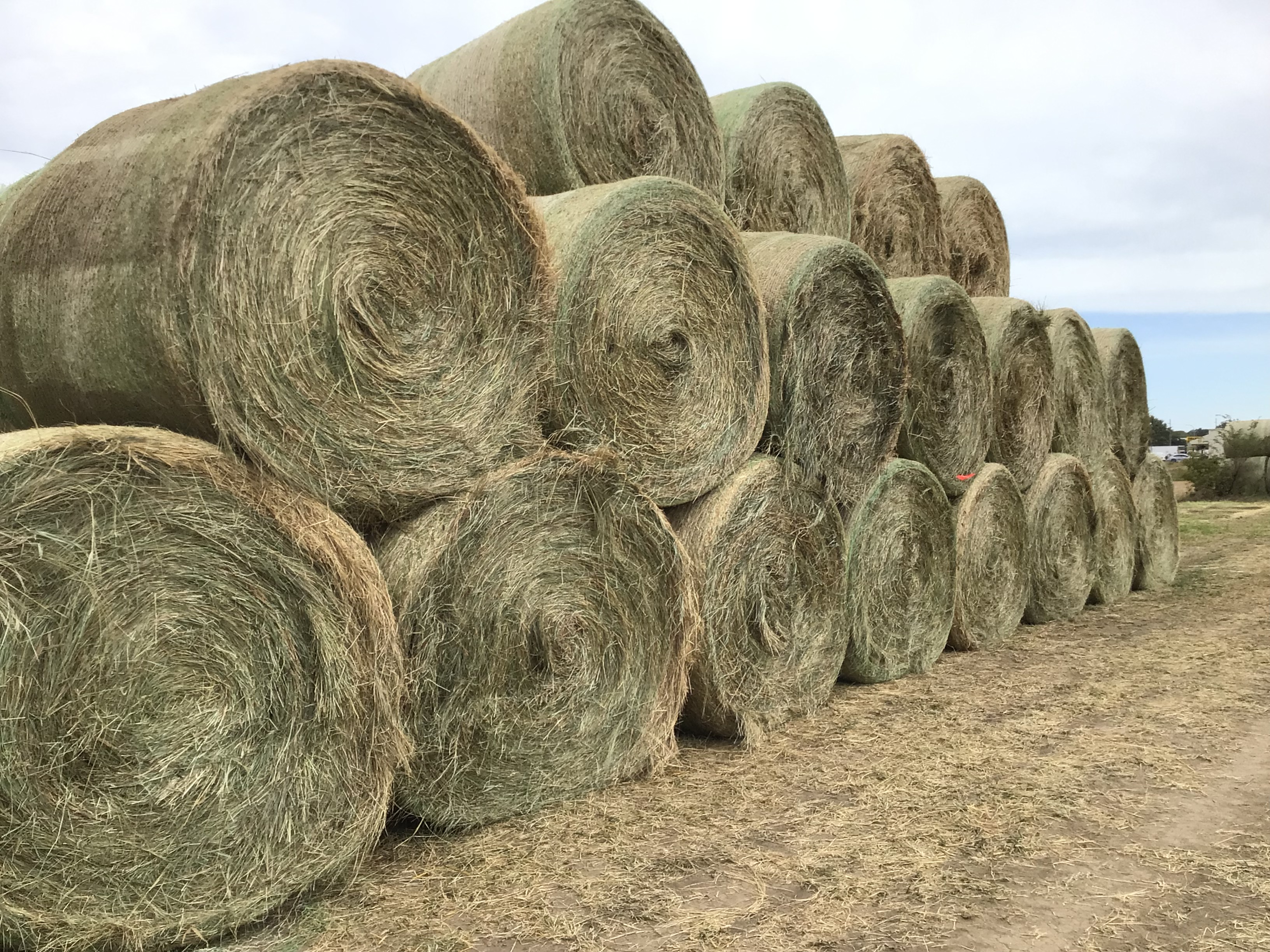WV44180 Rock Valley Hay Auction