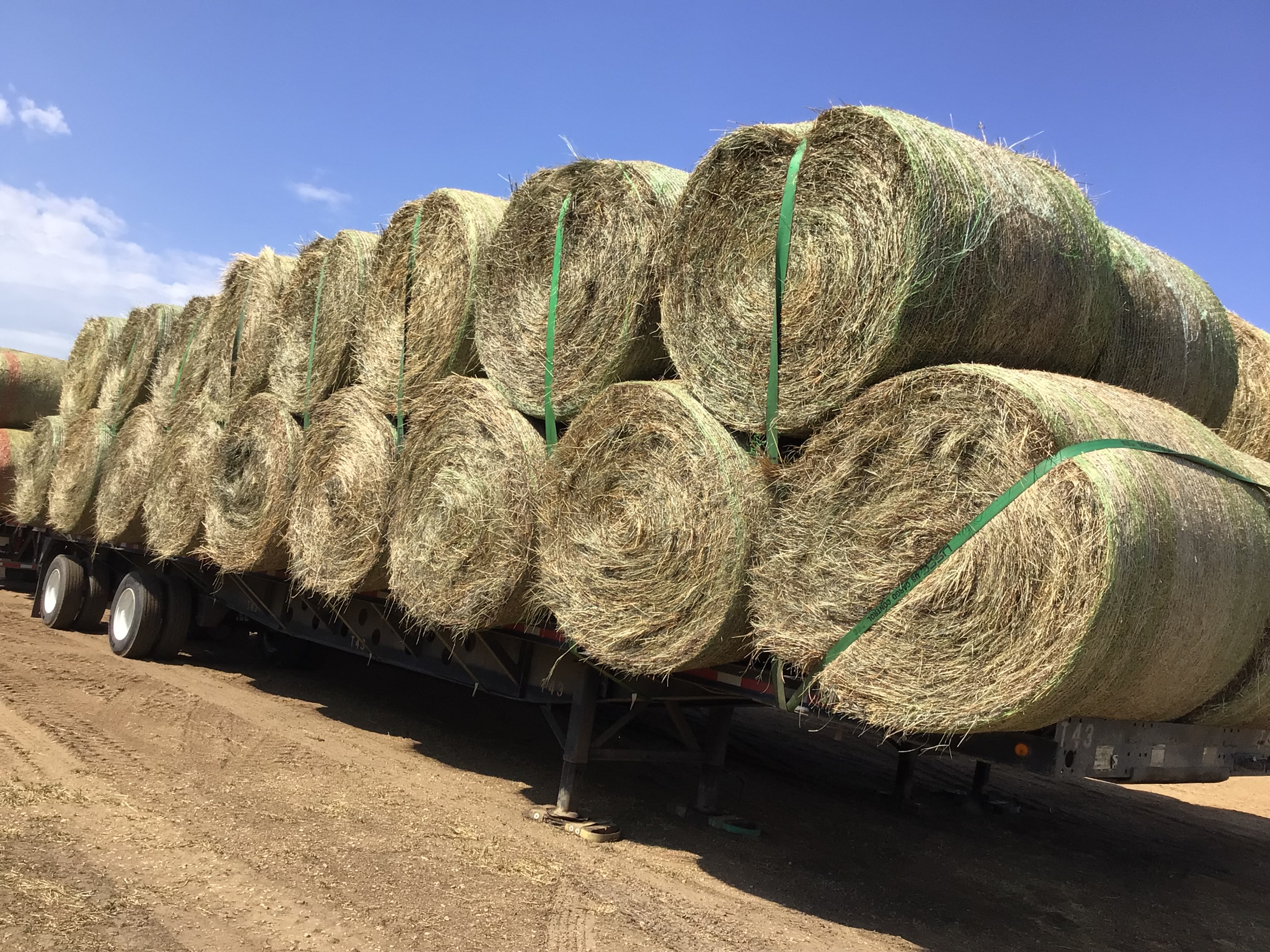 DR48600 48000 Rock Valley Hay Auction