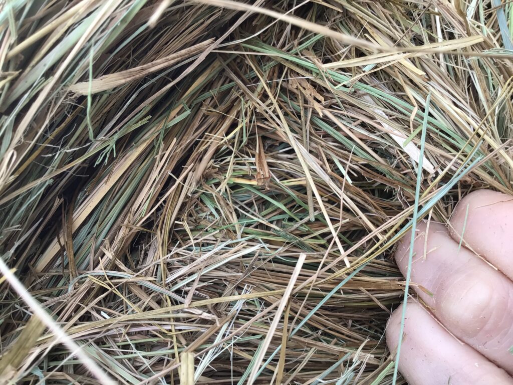 MF40880 Rock Valley Hay Auction