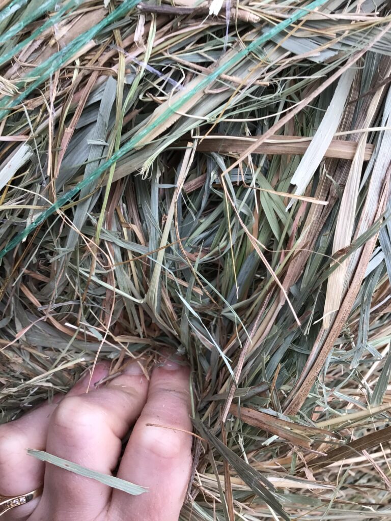 MF48440 47320 Rock Valley Hay Auction