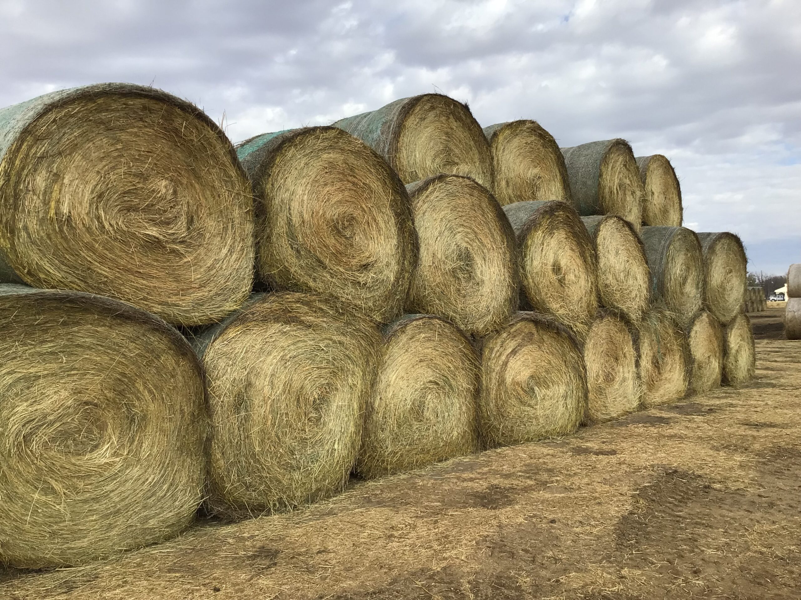 JA52120 Rock Valley Hay Auction