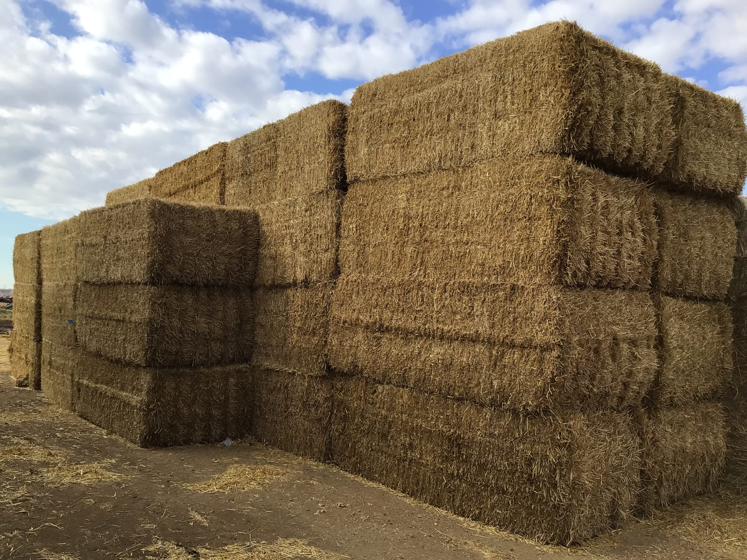 BF53340 Rock Valley Hay Auction