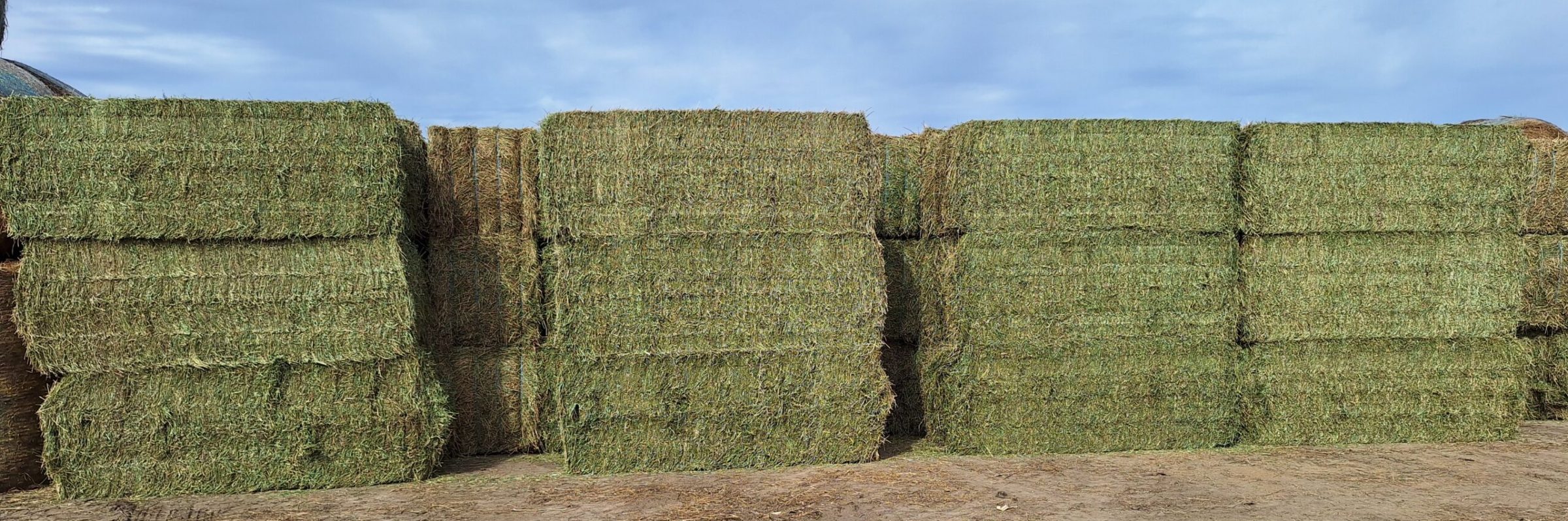 Rock Valley Hay Auction